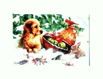 CP26 Tema canina foto