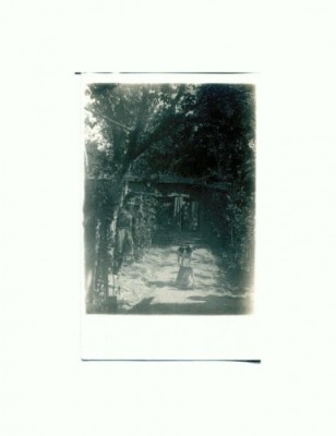 CP33 Tema canina foto