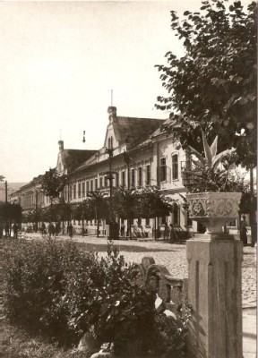 R3729 DEJ CIRCULAT foto