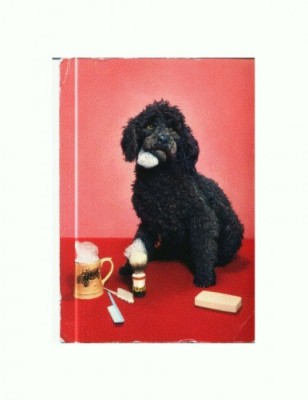 CP49 Tema canina foto