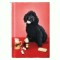 CP49 Tema canina