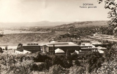 R3772 DOFTANA CIRCULAT foto