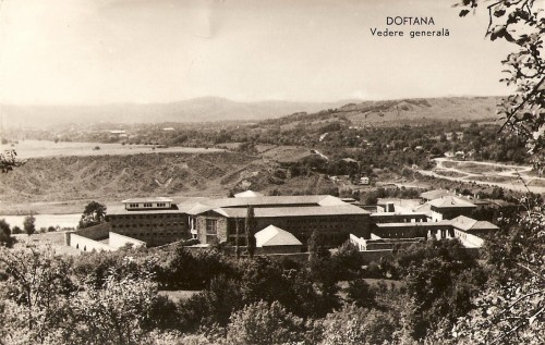 R3772 DOFTANA CIRCULAT R3772 DOFTANA CIRCULAT