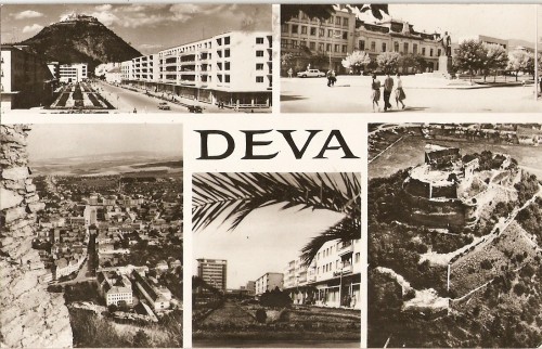 R3753 DEVA CIRCULAT R3753 DEVA CIRCULAT