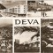 R3753 DEVA CIRCULAT