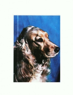 CP63 Tema canina foto