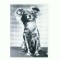CP76 Tema canina