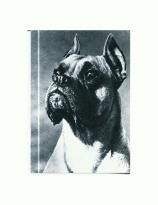 CP89 Tema canina foto