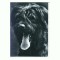 CP94 Tema canina