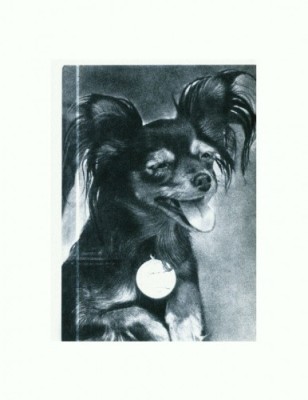 CP95 Tema canina foto