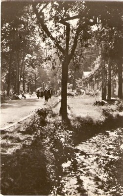 R4655 BAILE MONEASA Vedere din parc CIRCULAT 1963 foto