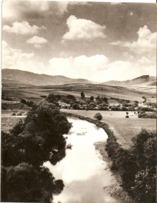 R4133 GHEORGHIENI Valea Muresului CIRCULAT foto