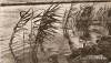 R4268 LACUL RAZELM CIRCULAT 1962