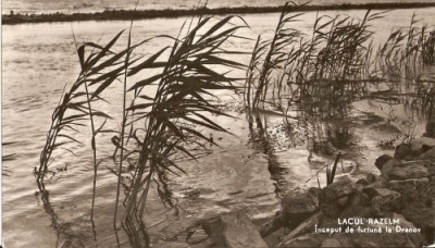 R4268 LACUL RAZELM CIRCULAT 1962 foto