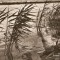 R4268 LACUL RAZELM CIRCULAT 1962