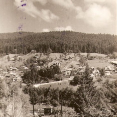 R4972 POIANA TAPULUI Vedere spre Zamora CIRCULAT 1959
