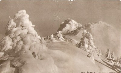 R4976 POSTAVARUL Creasta Cocosului NECIRCULAT foto