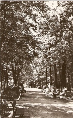 R5040 PUCIOASA Vedere din parc CIRCULAT 1964 foto