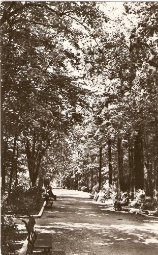 R5040 PUCIOASA Vedere din parc CIRCULAT 1964