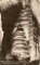 Foto  - 1