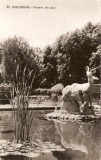 R5148 SF.GHEORGHE Vedere din parc CIRCULAT 1964