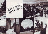 R-4629 Medias Circulata