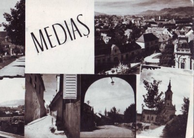 R-4629 Medias Circulata foto
