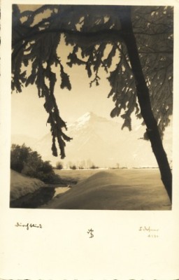 Vedere munti in Austria foto