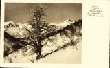 Vedere iarna in muntii Germaniei, ciculat 30.12.1935