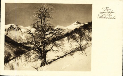 Vedere iarna in muntii Germaniei, ciculat 30.12.1935 foto