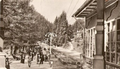 R5538 SLANIC MOLDOVA Vedere din parc CIRCULAT 1964 foto