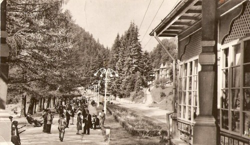 R5538 SLANIC MOLDOVA Vedere din parc CIRCULAT 1964