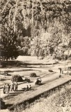 R5550 SLANIC MOLDOVA Vedere din parc CIRCULAT 1958
