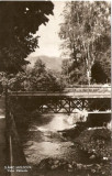 R5555 SLANIC MOLDOVA Valea Slanicului CIRCULAT 1959