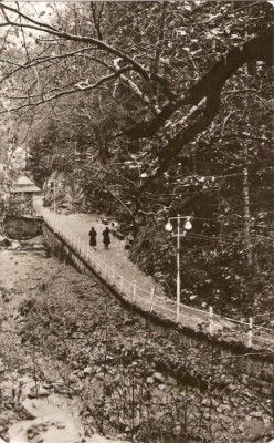 R5558 SLANIC MOLDOVA Aleea spre izvoare CIRCULAT 1962 foto