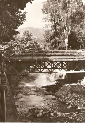 R5556 SLANIC MOLDOVA Valea Slanicului CIRCULAT 1960 foto