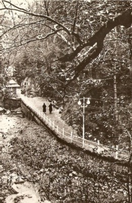 R5557 SLANIC MOLDOVA Aleea spre izvoare CIRCULAT 1963 foto