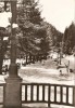 R5561 SLANIC MOLDOVA Vedere din parc CIRCULAT