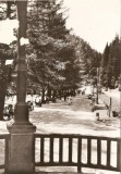 R5561 SLANIC MOLDOVA Vedere din parc CIRCULAT