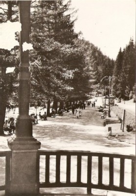 R5561 SLANIC MOLDOVA Vedere din parc CIRCULAT foto