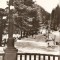 R5561 SLANIC MOLDOVA Vedere din parc CIRCULAT