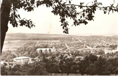 R5692 SOMCUTA MARE CIRCULAT 1965 foto