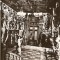 R5415 SINAIA Muzeul Peles Sala de arme CIRCULAT 1966