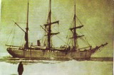 S883 VAPOARE Foca sau vitelul de mare NECIRCULAT