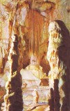 Z826 SPEOLOGIE Pestera Ursilor de la Chiscau, Bihor NECIRCULAT