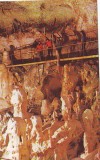 Z827 SPEOLOGIE Pestera Ursilor de la Chiscau, Bihor NECIRCULAT