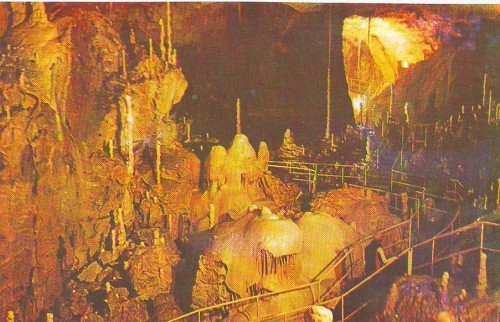 Z831 SPEOLOGIE Pestera Ursilor de la Chiscau, Bihor NECIRCULAT