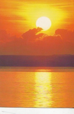 S982 DIVERSE Litoralul Marii Negre CIRCULAT 1998 foto