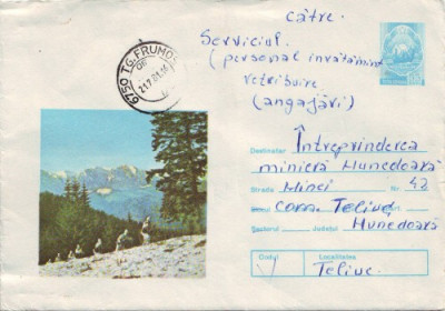 D155 INTREG POSTAL Tg.Frumos CIRCULAT 1981 foto