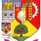 M291 ILUSTRATA MAXIMA Stema judetului Buzau CIRCULAT 1978